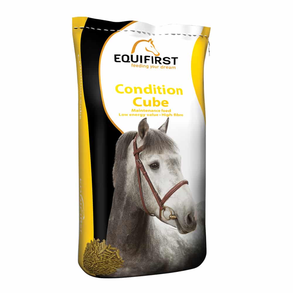EquiFirst Condition Cube 20 kg