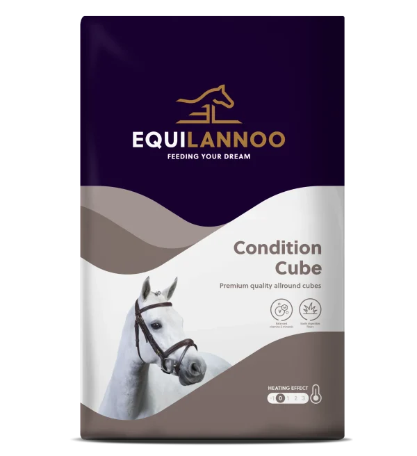 EquiLannoo Condition Cube 20 kg