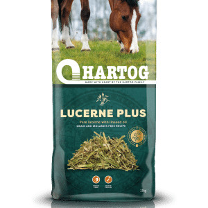 Hartog Lucerne Plus 15 kg